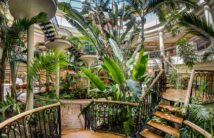 Vestíbulo del hotel