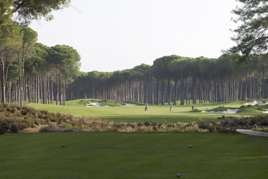 Golfplatz
