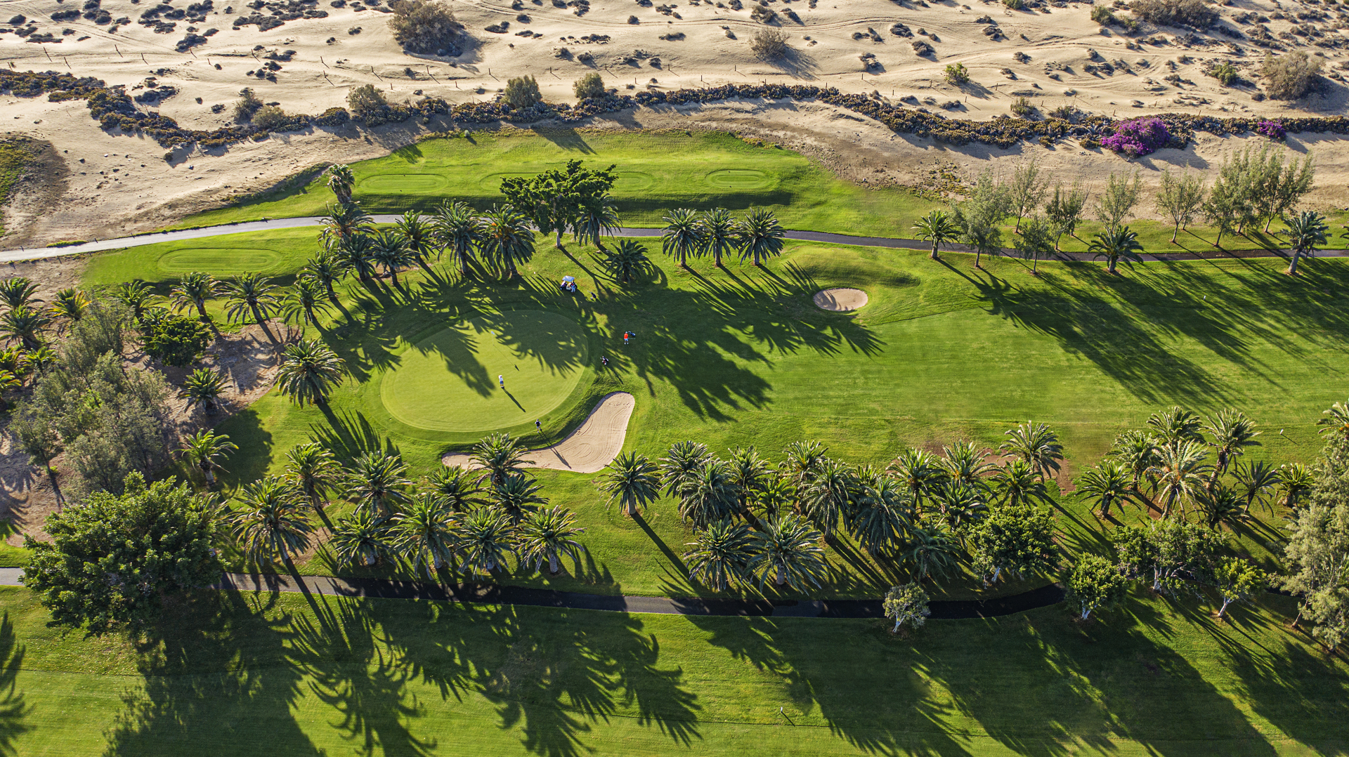 Maspalomas Golf - Gran Canaria