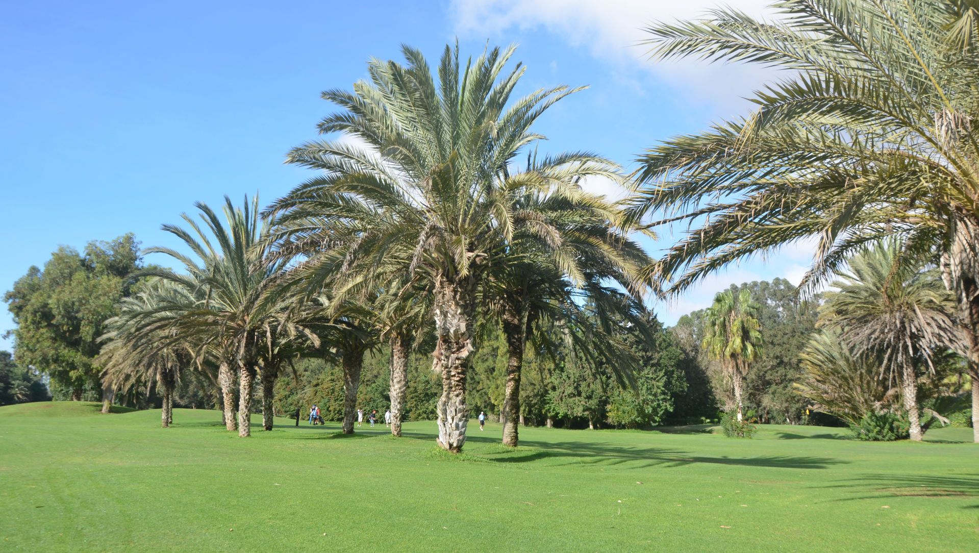 Royal Golf Club Agadir
