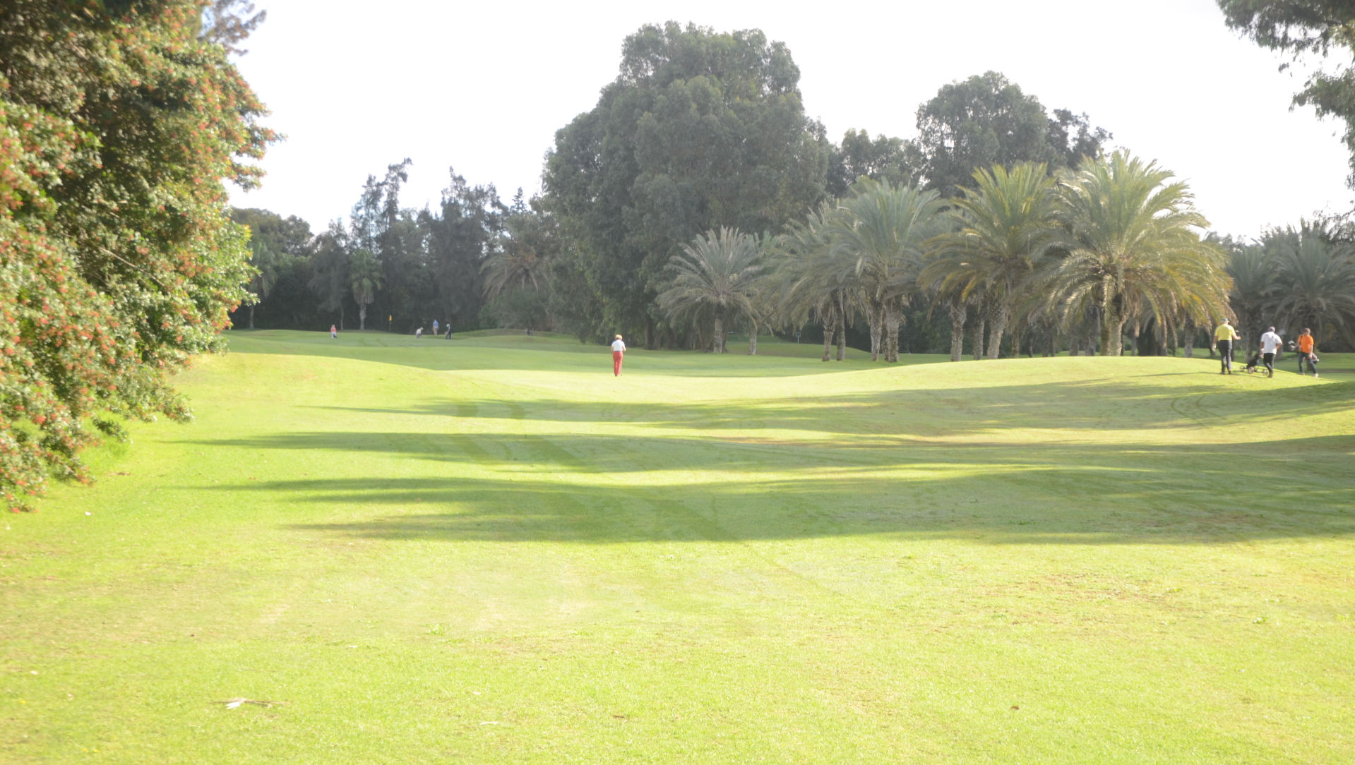 Royal Golf Club Agadir