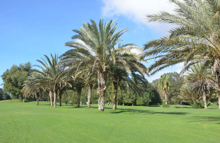 Royal Golf Club Agadir