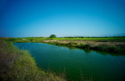 Al Mouj Golf Muscat