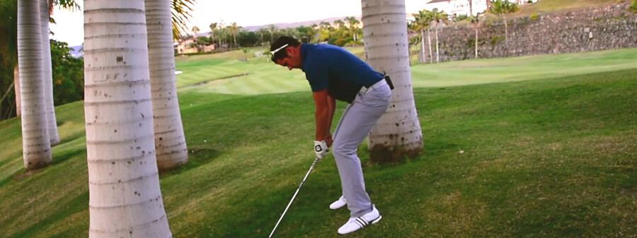 5. Golf-Trainingsvideo: Ball unter Palmen