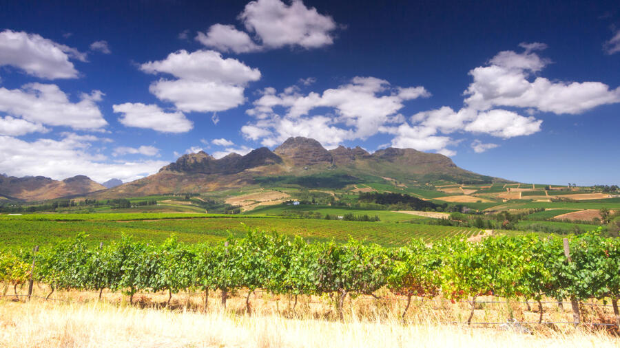 Cape Winelands Cape Winelands